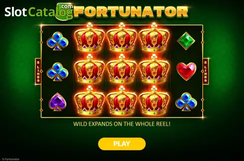 Скрин2. 5 Fortunator слот