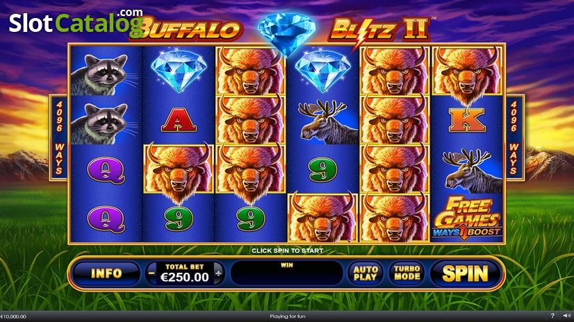 Buffalo-Blitz-II