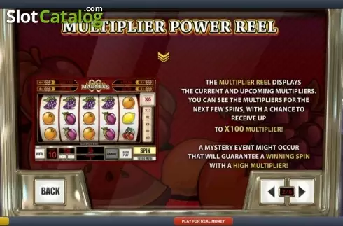 Скрин7. Multiplier Madness (Playtech) слот