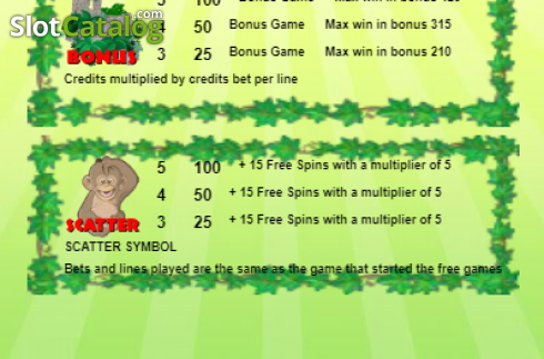 Скрин6. Jungle Boy (Portomaso Gaming) слот