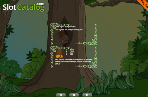 Скрин5. The Wild Forest слот
