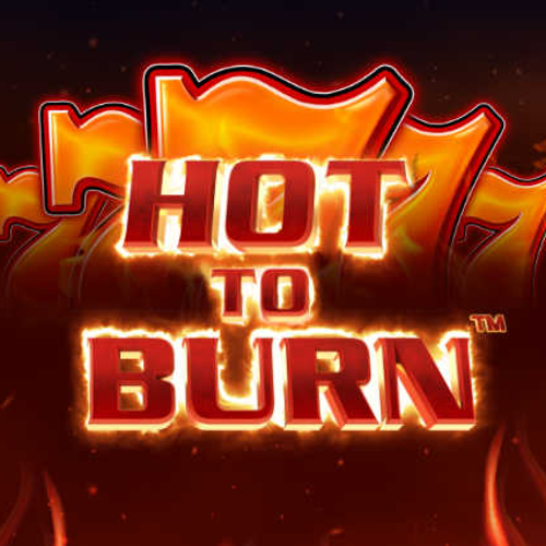 Hot to Burn логотип