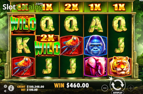 Скрин4. Jungle Gorilla слот