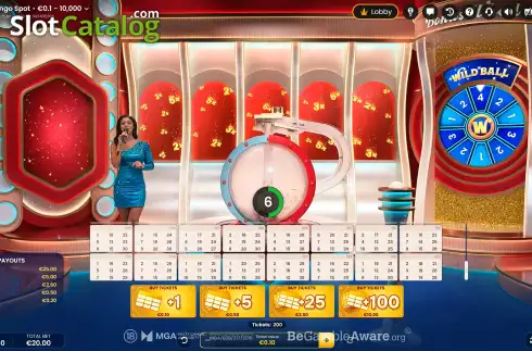 Скрин2. The Bingo Spot слот