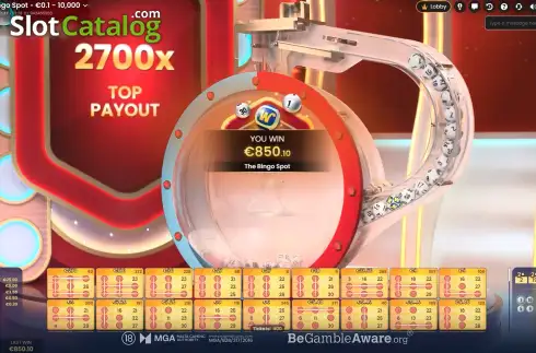 Скрин3. The Bingo Spot слот