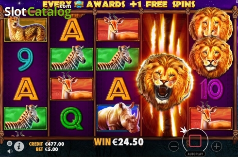 Скрин7. Safari King (Pragmatic Play) слот
