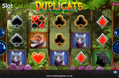 Скрин2. Duplicats слот