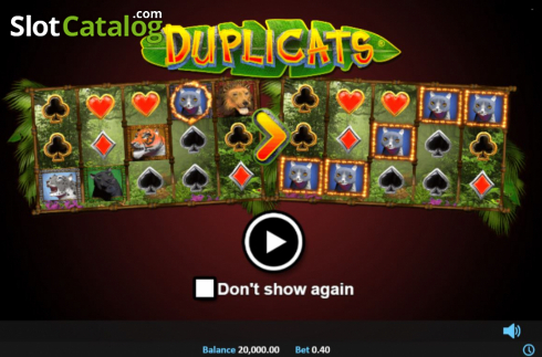 Скрин4. Duplicats слот