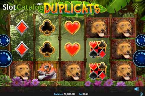 Скрин5. Duplicats слот