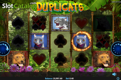 Скрин8. Duplicats слот