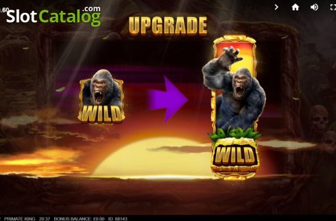Скрин6. Primate King слот