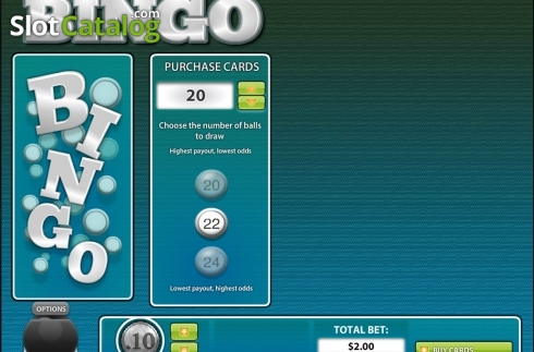 Скрин2. 30 Ball BINGO слот