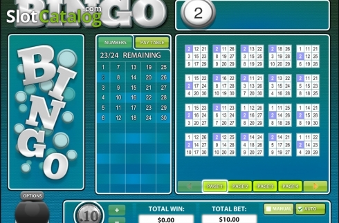 Скрин3. 30 Ball BINGO слот