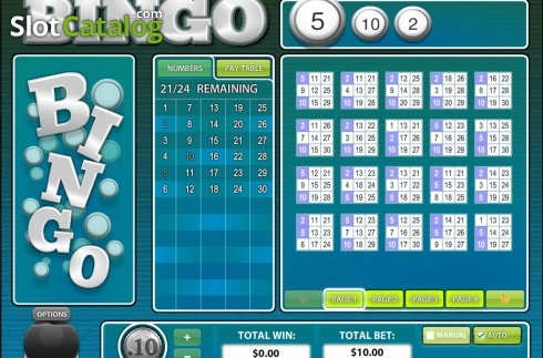 Скрин4. 30 Ball BINGO слот
