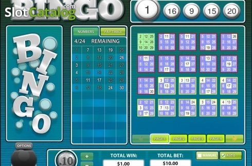 Скрин5. 30 Ball BINGO слот