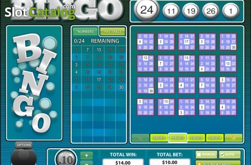 Скрин6. 30 Ball BINGO слот