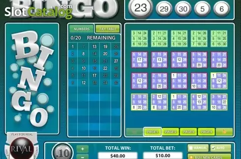 Скрин5. Instant Bingo (Rival Gaming) слот
