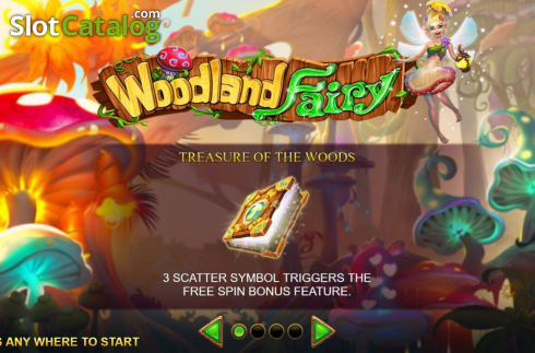 Скрин2. Woodland Fairy слот