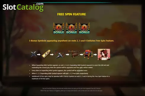 Скрин9. Ninja (Royal Slot Gaming) слот