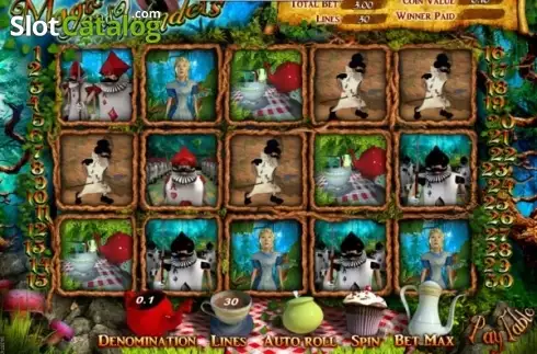 Скрин3. Magic & Wonders слот