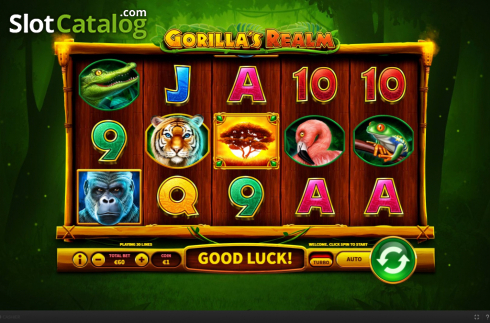 Скрин2. Gorilla’s Realm слот