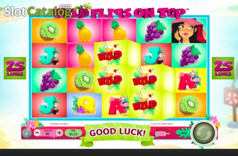 Скрин5. Wild Flips on Top слот