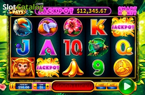 Скрин2. Monkey Pays слот