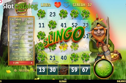 Скрин5. Slingo Lucky Streak слот