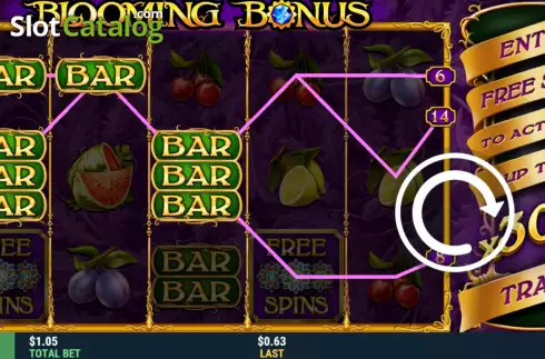 Скрин3. Blooming Bonus слот