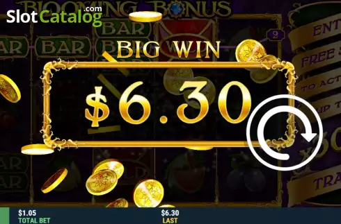 Скрин4. Blooming Bonus слот
