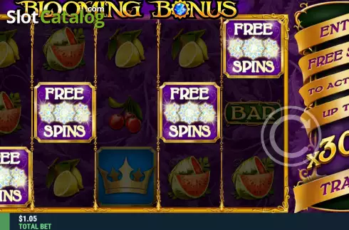 Скрин5. Blooming Bonus слот