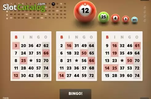 Скрин4. Bingo (Spigo) слот
