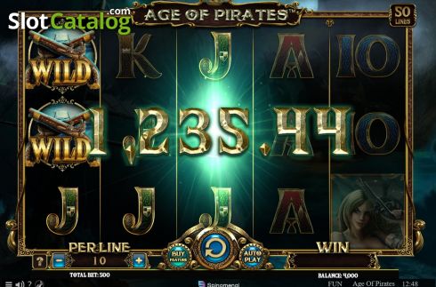 Скрин4. Age Of Pirates слот
