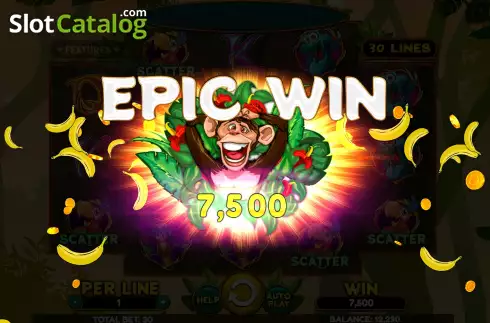 Скрин4. Wacky Monkey слот