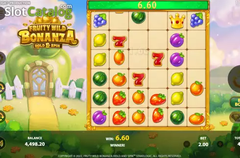Скрин4. Fruity Wild Bonanza Hold and Spin слот