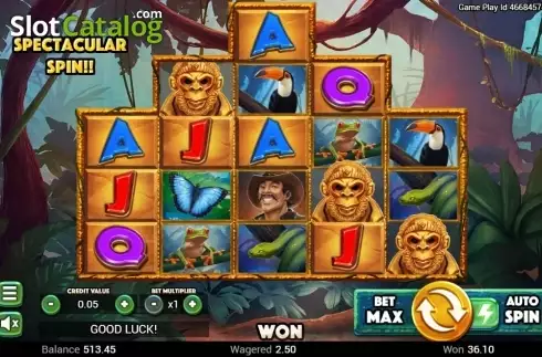 Скрин5. Golden Amazon слот
