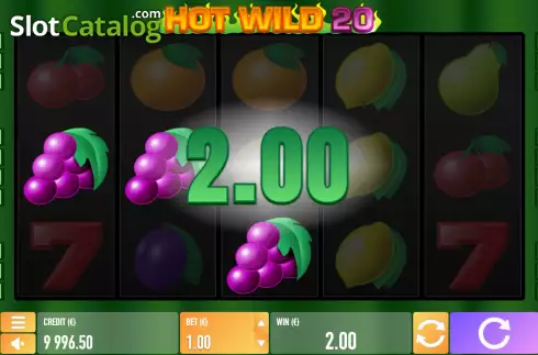 Скрин3. Hot Wild 20 слот