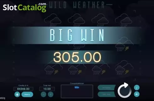 Скрин4. Wild Weather слот