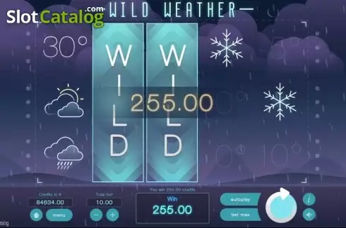 Скрин5. Wild Weather слот
