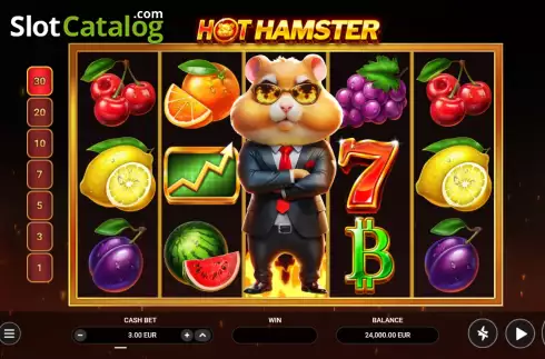 Скрин2. Hot Hamster слот