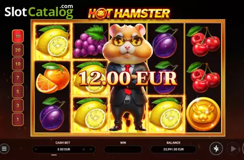 Скрин3. Hot Hamster слот