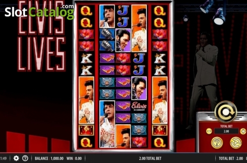 Скрин3. Elvis Lives слот