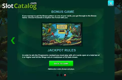 Скрин9. Amazonia Bingo слот