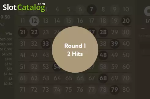 Скрин5. Keno Draw (Woohoo) слот