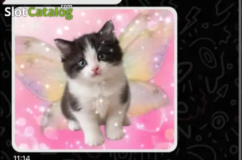Скрин3. Chat & Win слот