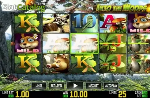 Скрин6. Into The Woods HD слот