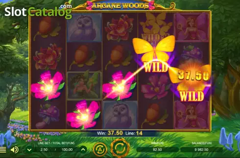 Скрин3. Arcane Woods слот