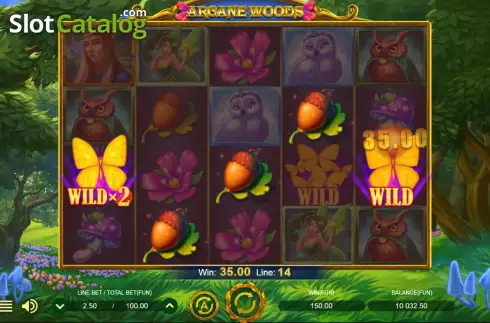 Скрин4. Arcane Woods слот