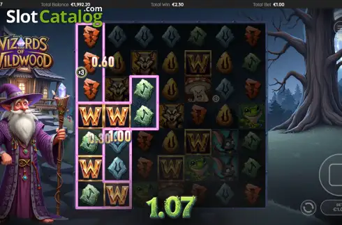 Скрин3. Wizards of Wild Wood слот