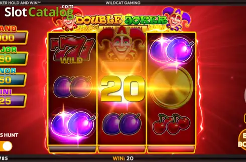 Скрин3. Double Joker Hold & Win слот